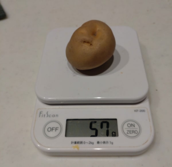 種芋の重さを測る